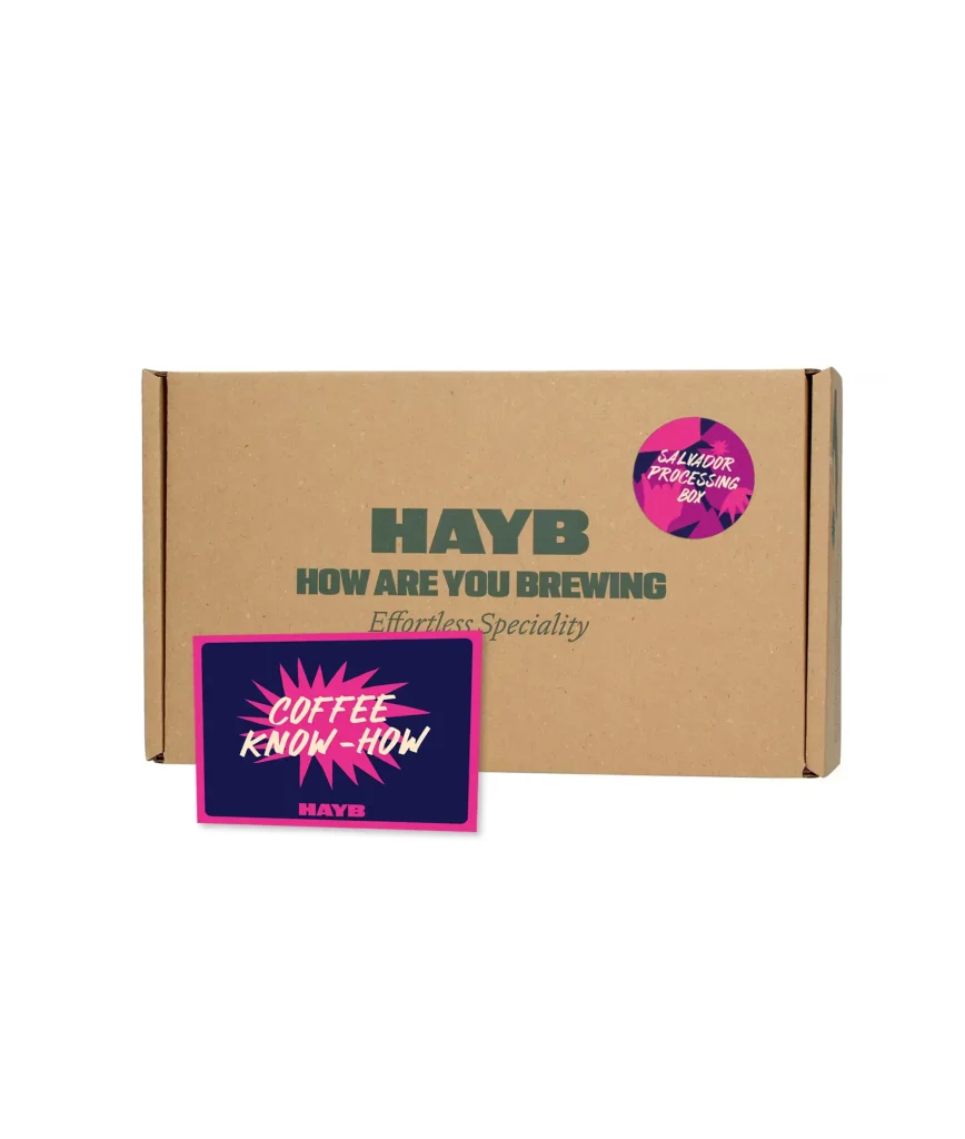 El Salvador Processing Box